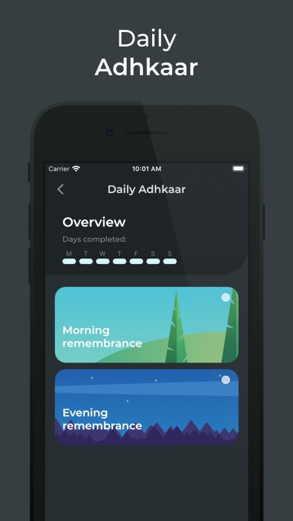 Prophetic Sayings screenshot-5