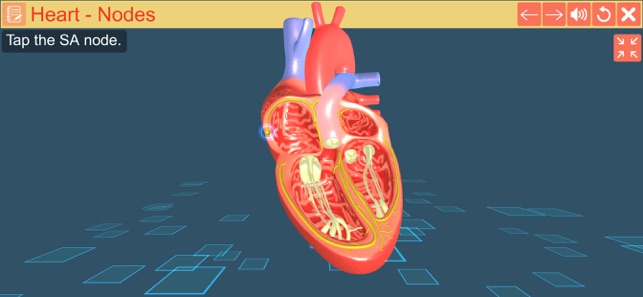 Cardiac pacemaker(圖5)-速報App
