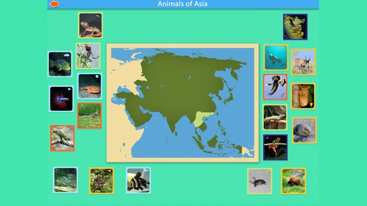 Montessori - Animals of Asia screenshot-4