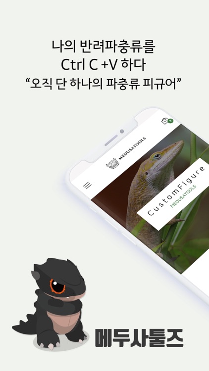 메두사툴즈