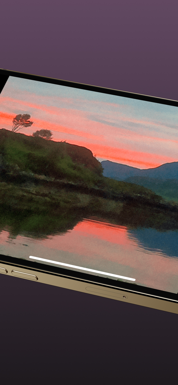 BerryCam for Raspberry Pi