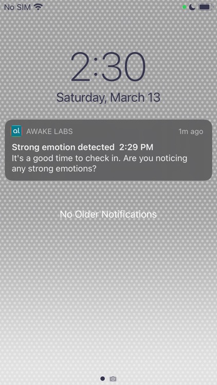 Awake Labs screenshot-8