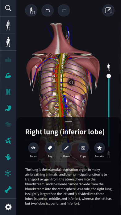 3D anatomy teamLabBody2020 screenshot 2