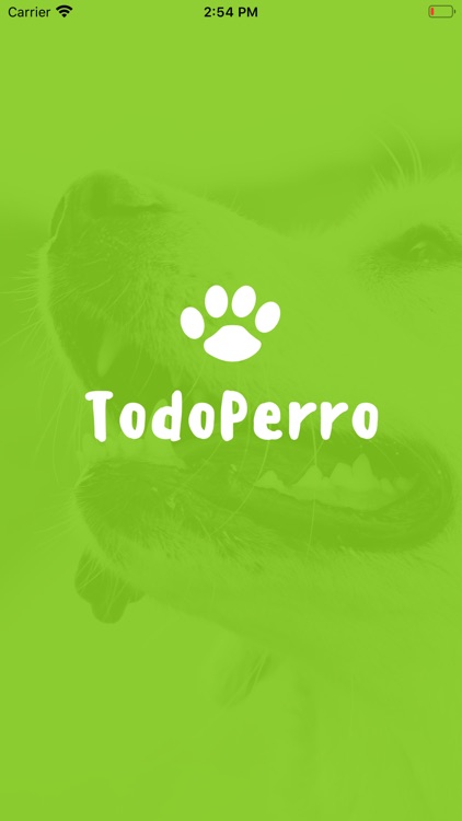 TodoPerro