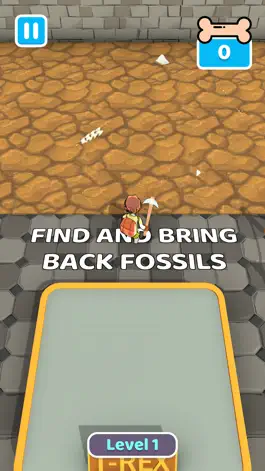 Game screenshot Fossil Museum Collector mod apk