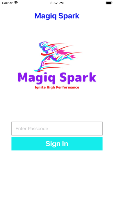 Magiq Spark screenshot 2