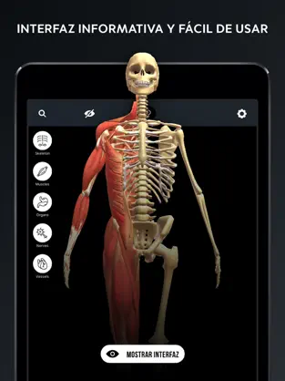 Image 4 Anatomia 3D - El Cuerpo Humano iphone