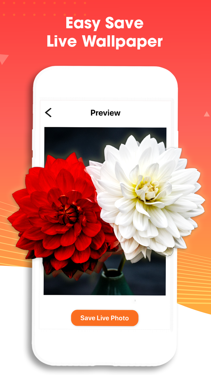 VideoToLive - Live Wallpapers