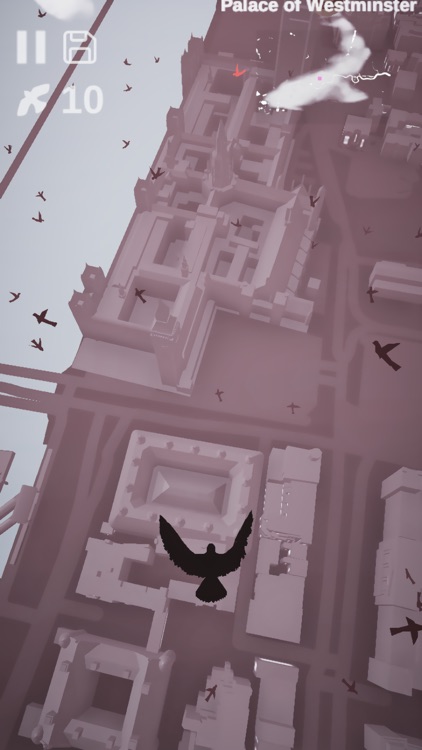 Pigeon: A Love Story
