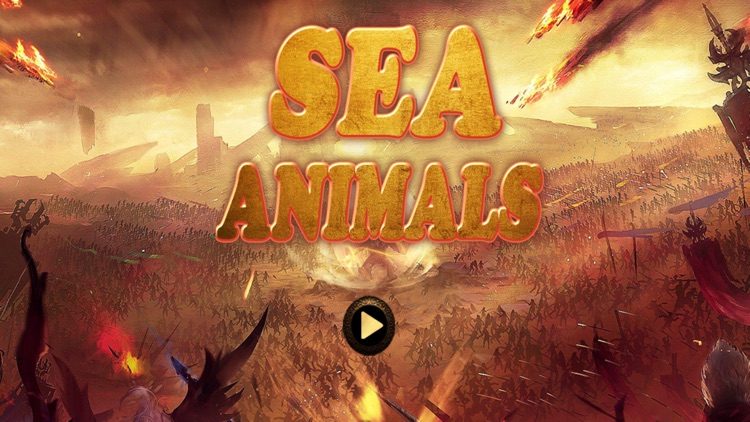 The ring - Adventure