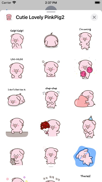 Cutie Lovely PinkPig2