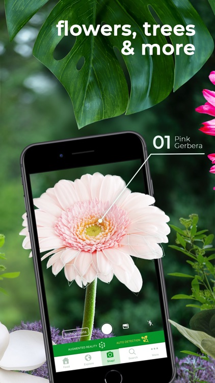 PlantSnap Pro: Identify Plants