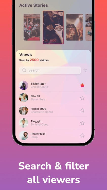 Viewer Search for Insta Story