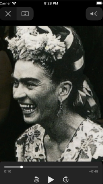 Frida Kahlo screenshot-5