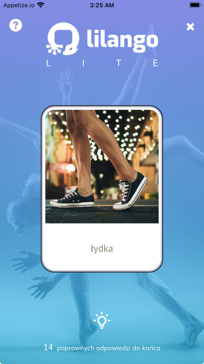 Lilango LITE Fiszki angielskie