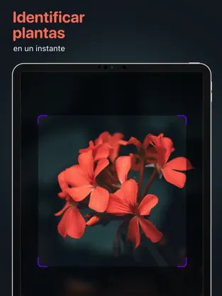 Screenshot 1 Reconocer plantas: identificar iphone