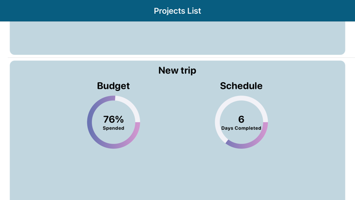 Project Budget Management