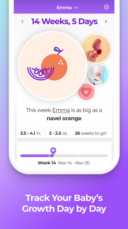 Pregnancy & Baby Tracker WTE screenshot-0