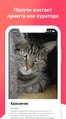 Game screenshot PetMeApp hack