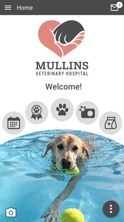 Mullins Veterinary Hospital