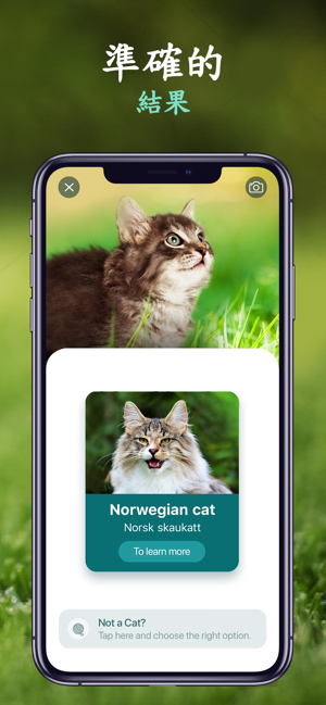 NatureID - 拍照識別植物、貓、狗(圖9)-速報App