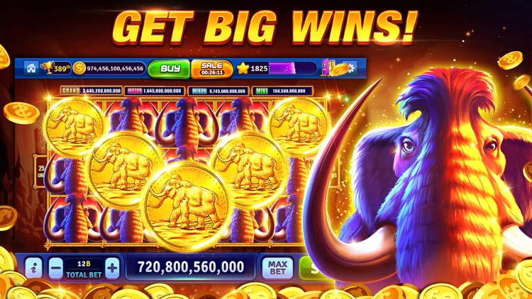 Slots Casino - Jackpot Mania screenshot-4