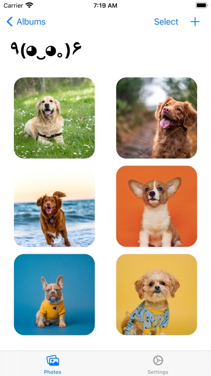 Photo Widget’ screenshot-4