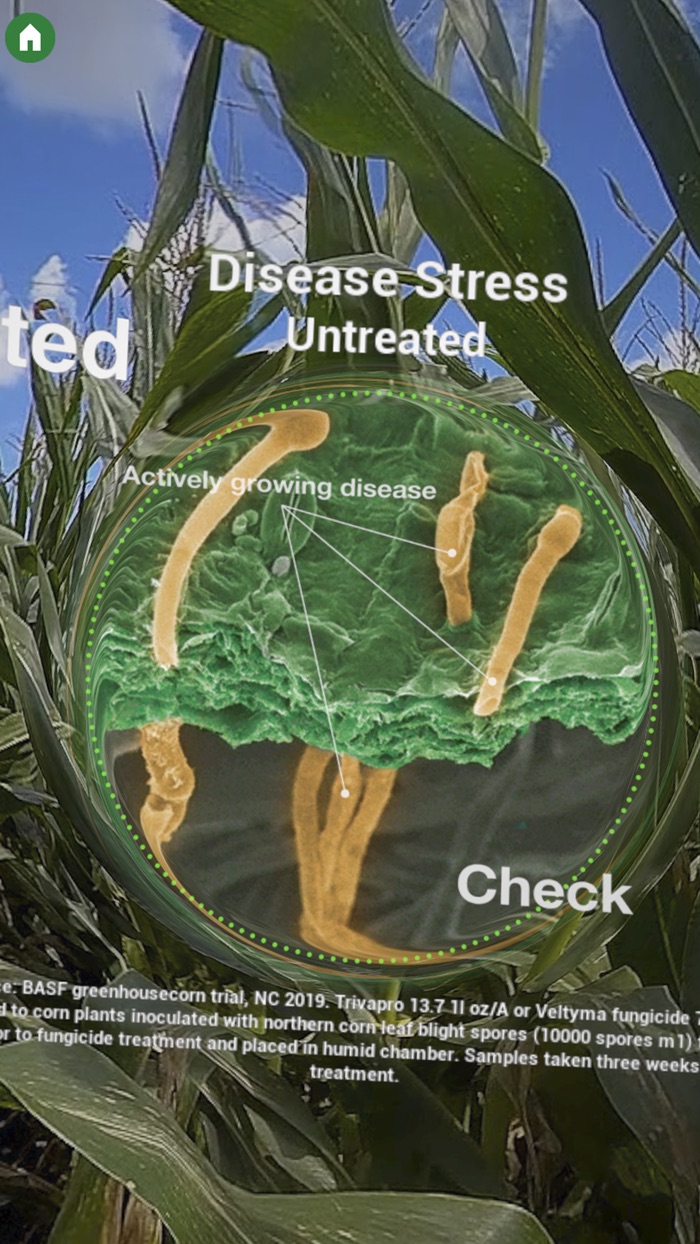 BASF Veltyma® AR Portal