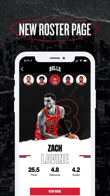 Chicago Bulls screenshot-4