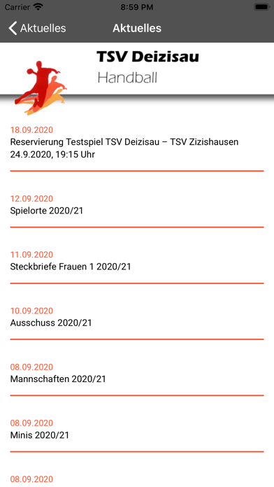 TSV Deizisau Handball screenshot 3