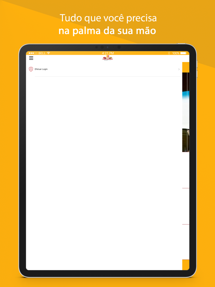 Porto Fernandes Proteção