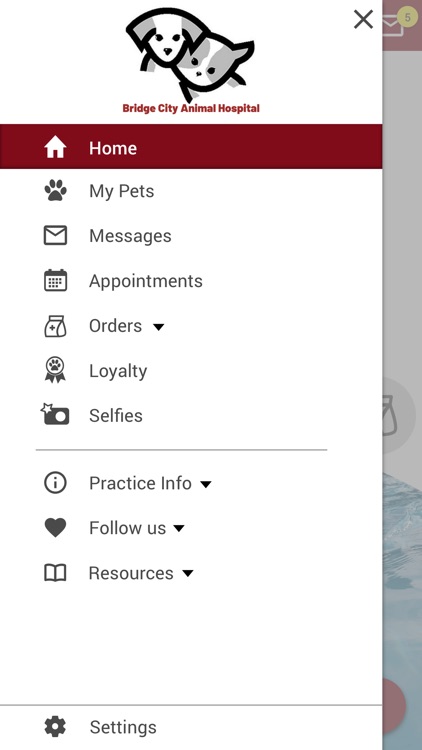 Bridge City AH screenshot-4