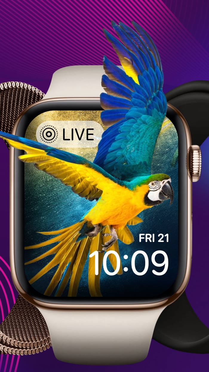 Watch Faces Dynamic  Live