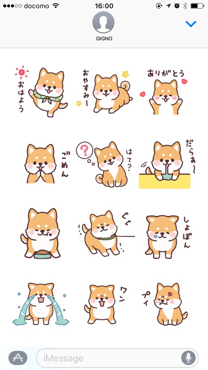 fluffy fat Shiba anime