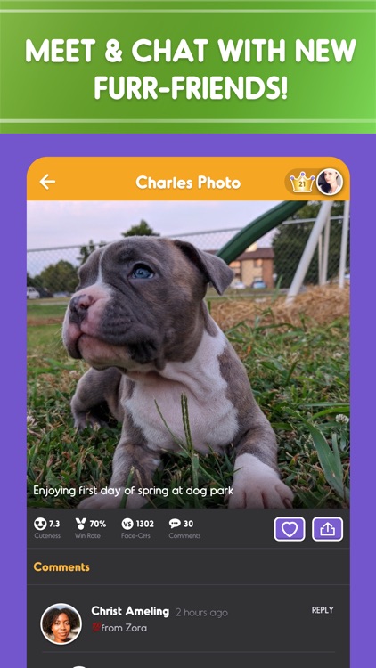 Pet Parade: Dogs & Cats Games screenshot-4