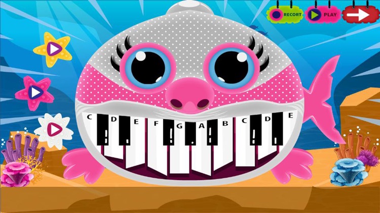 Magic Baby Shark Piano