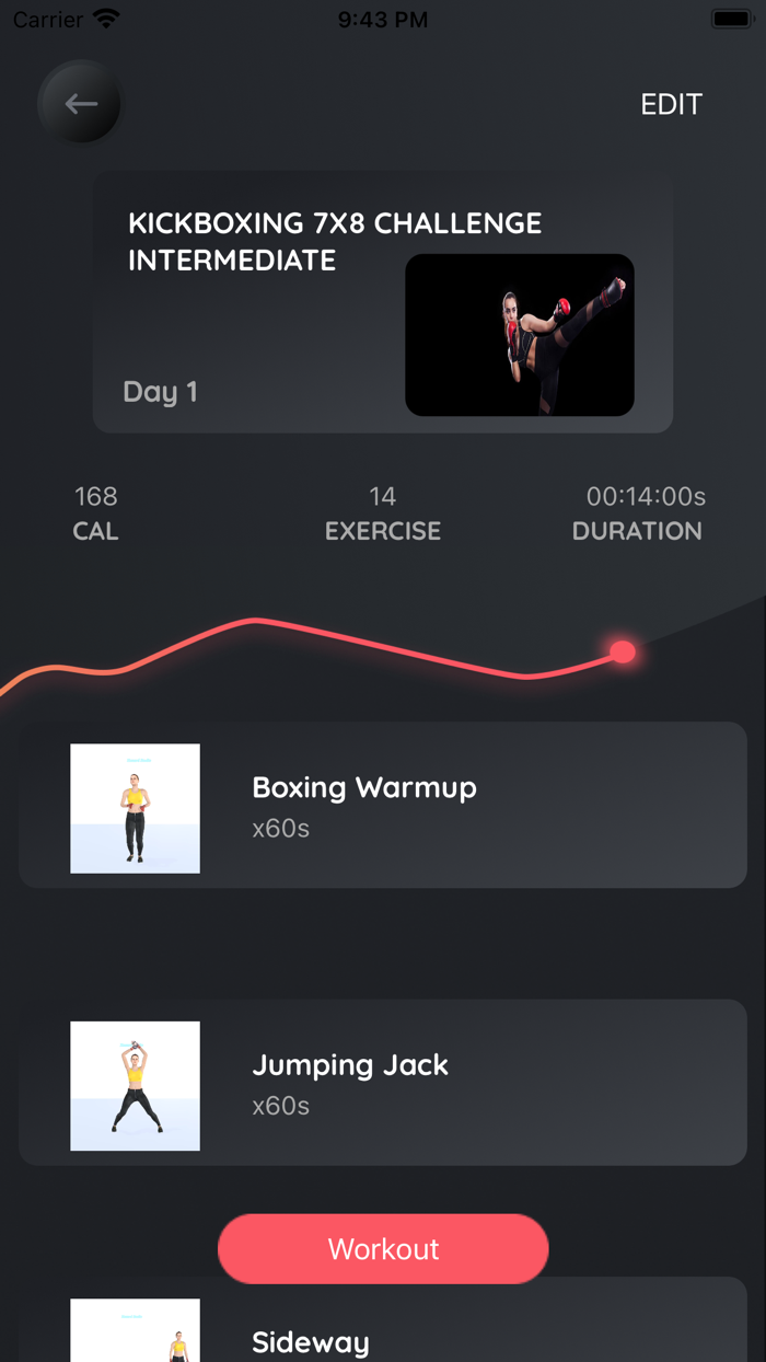 Female Kickboxing Fitness