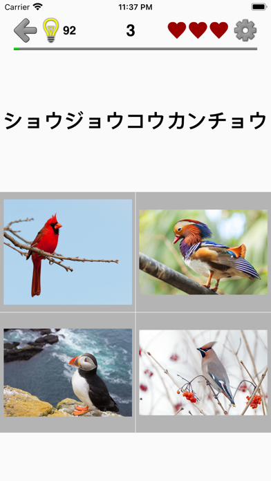 動物クイズゲーム : 動物園全体の日本と世... screenshot1