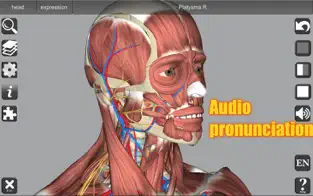 Imágen 4 3D Anatomy Learning iphone