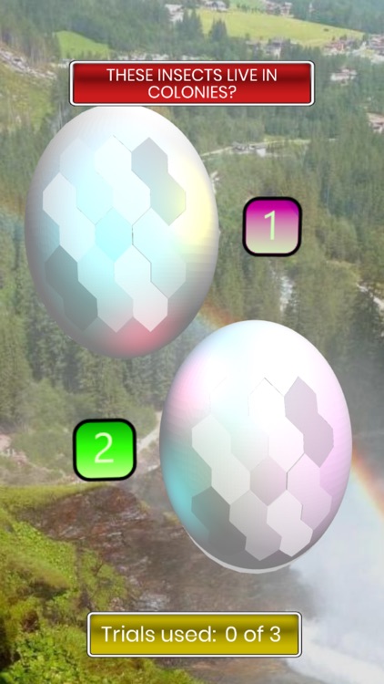 Egg Challenge – A Trivia Game screenshot-3