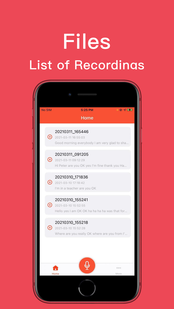 Voice Recorder for iPhone App