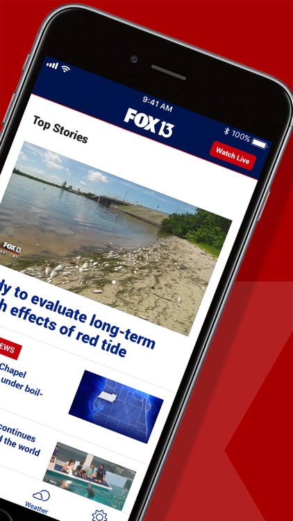 FOX 13 Tampa: News & Alerts