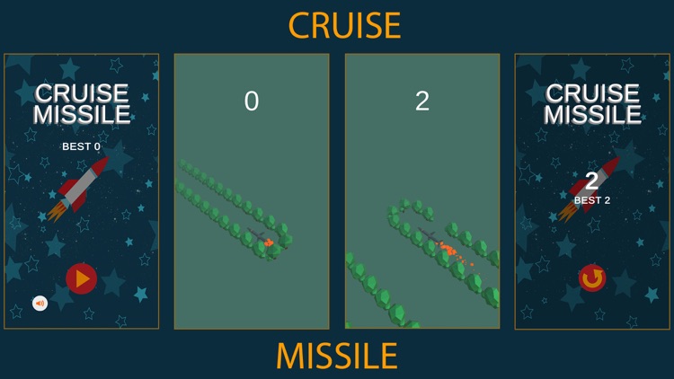 Cruise Missile