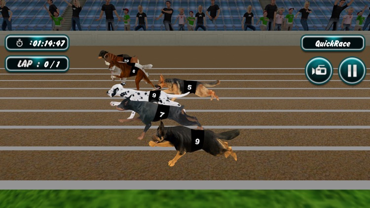 Racing Dog Simulator: Crazy Dog Racing Games APK for Android - Download