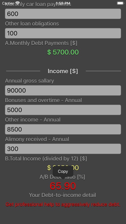 Debt 2 Income Calculator screenshot-8