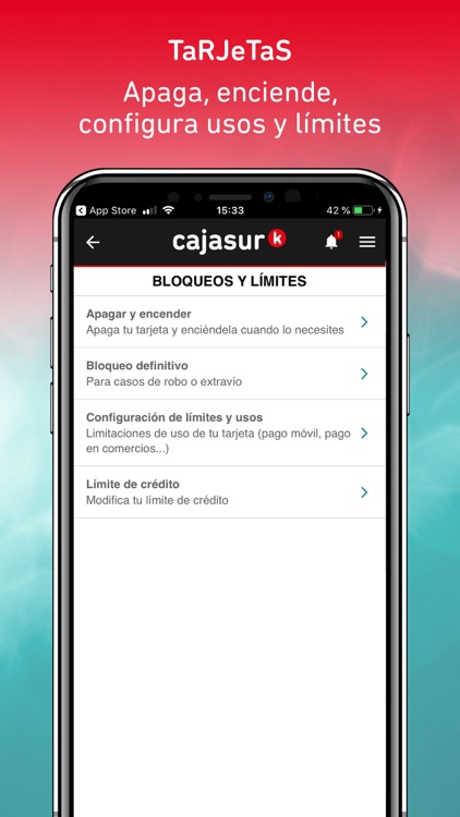 CajaSurPay screenshot-3