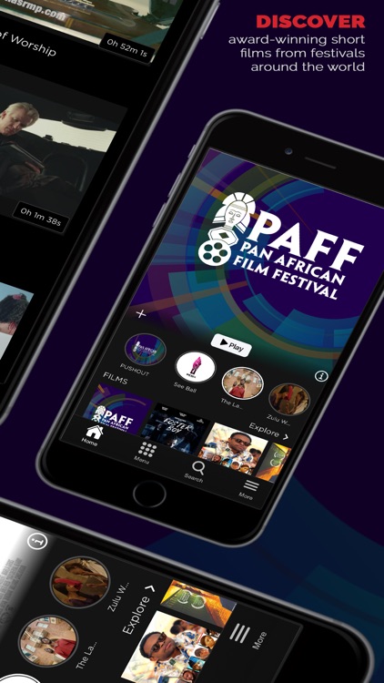 Pan African Film+Arts Festival screenshot-4