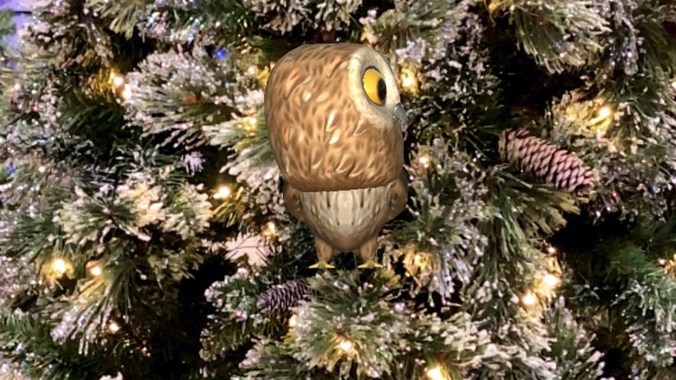 Rocky Owl AR screenshot-4