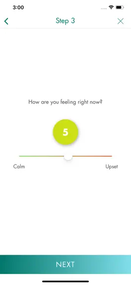 Game screenshot IntelliCare: Worry Knot apk
