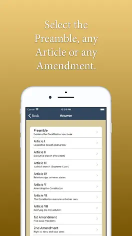 Game screenshot US Constitution  Fact Mountain apk